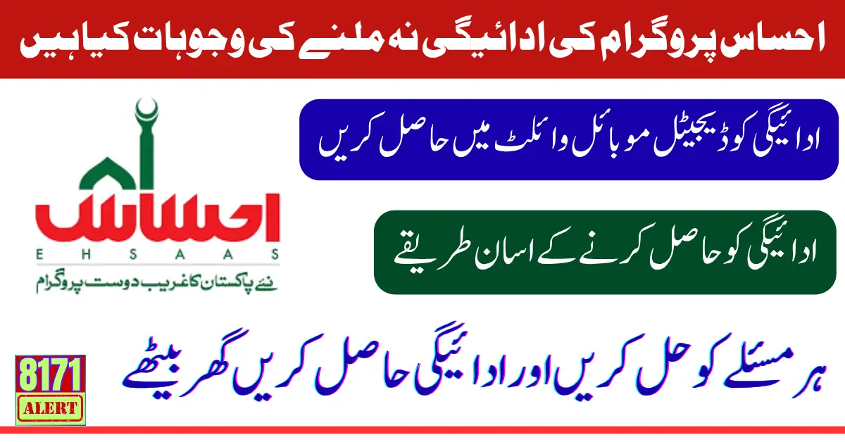 Ehsaas Payment Issue Solution 2026 March Update Know Full Guide Step By Step