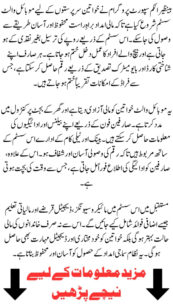 BISP Mobile Wallets System 2026 – Secure, Fast & Cashless Payments