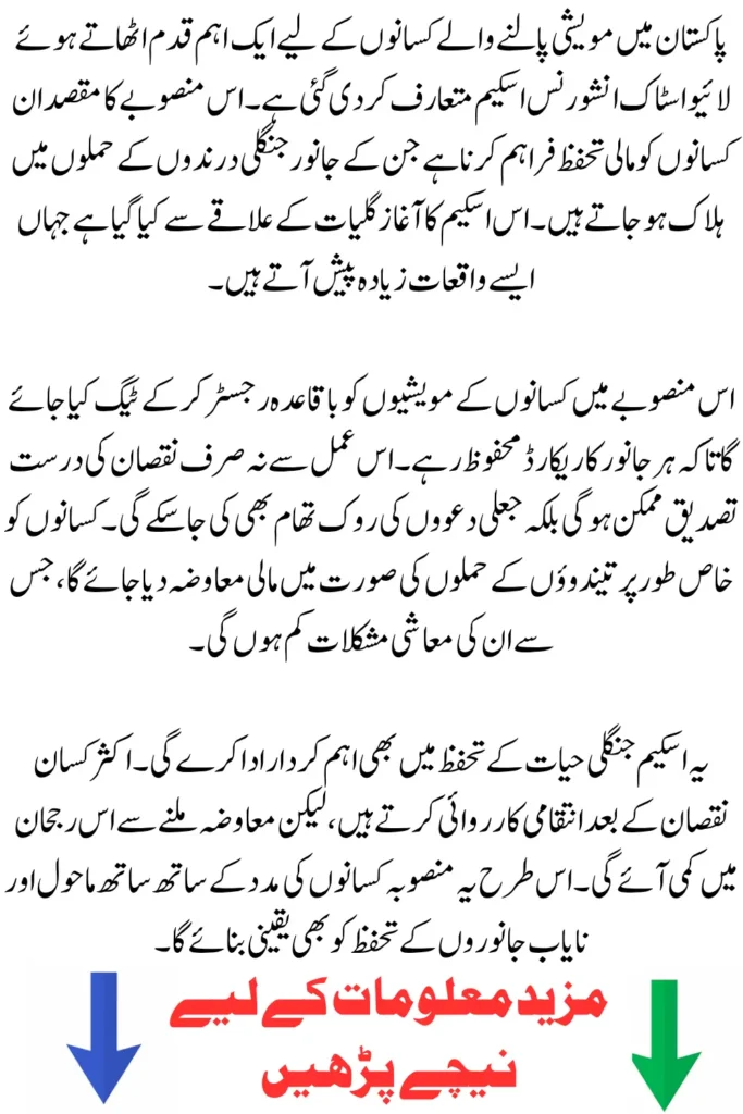 Livestock Insurance Scheme in Pakistan Launched for the First Time to Protect Farmers