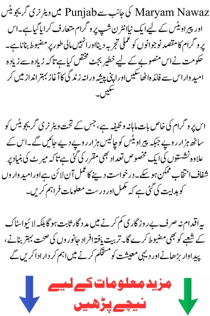 Maryam Nawaz Internship Program 2026: Rs 60,000 Monthly Stipend & How to Apply